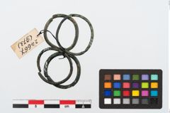 Foto von Bronzering (NHMW-PRAE-024667)